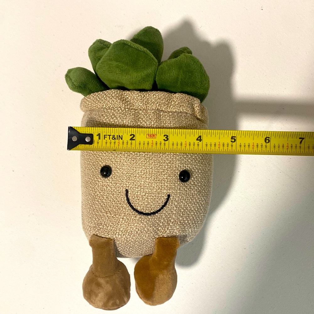 New Quirky Smiley Succulent Super Plush Plant